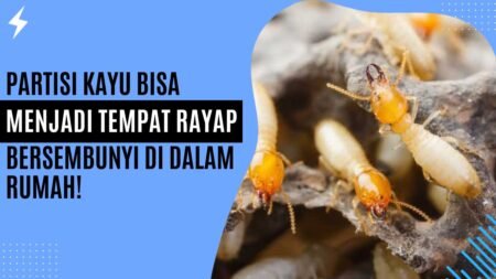 Partisi Kayu Bisa Menjadi Tempat Rayap Bersembunyi di Dalam Rumah Partisi Kayu Bisa Menjadi Tempat Rayap Bersembunyi di Dalam Rumah